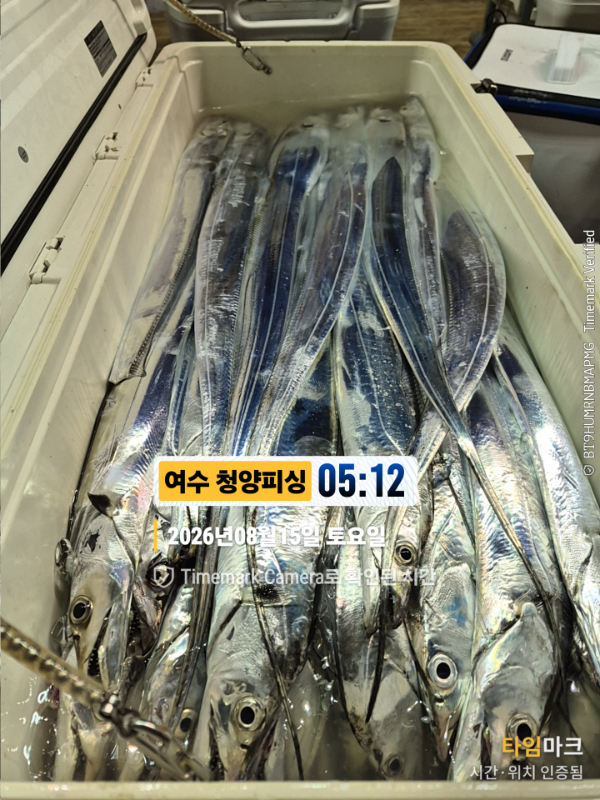 2026-08-15 05.12.40__(제목-여수 청양피싱).jpg