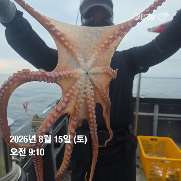 공현진낚시마트(돌핀호)_사진_20260815_7.jpg