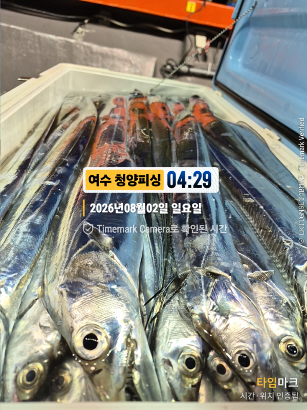 2026-08-02 04.29.48__(제목-여수 청양피싱).jpg