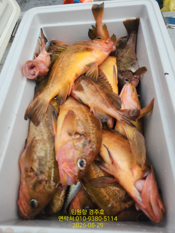 1000048348.jpg
