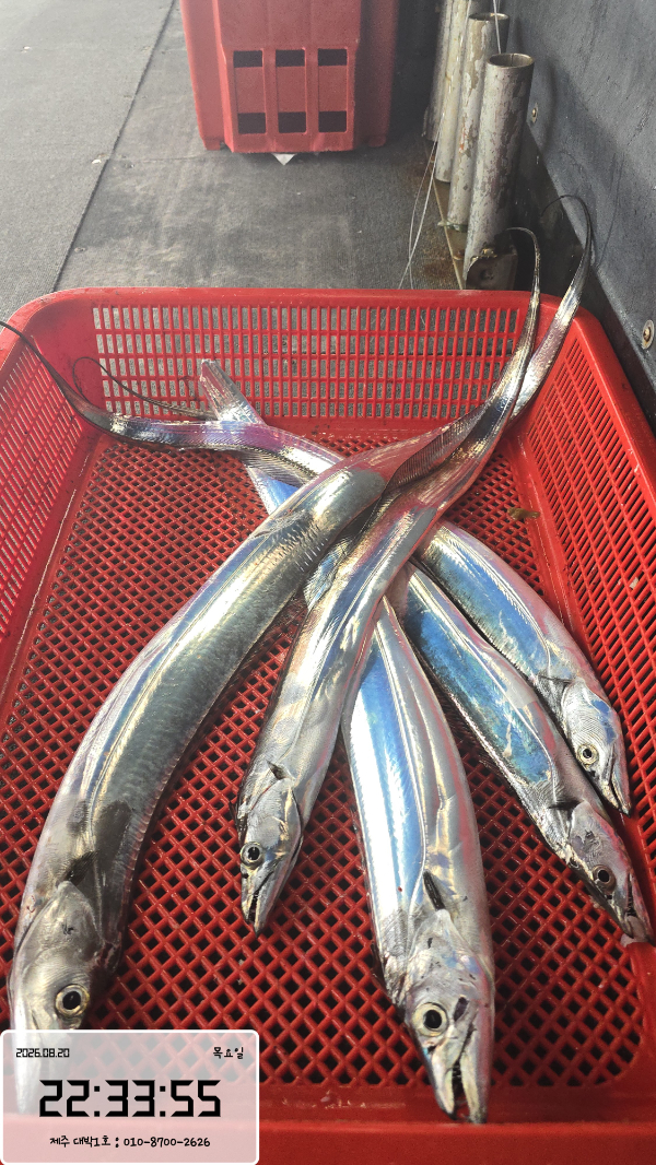 1000073606.jpg