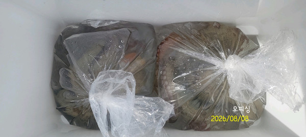 DateCamera0808094449.jpg