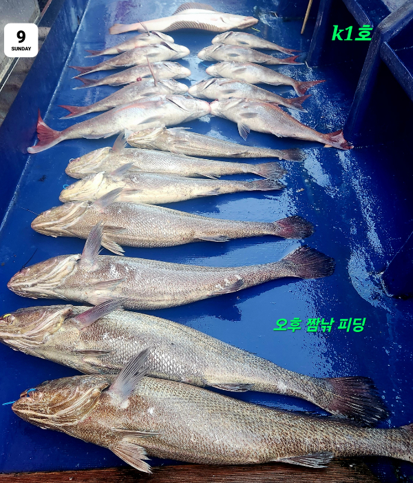 6025.jpg