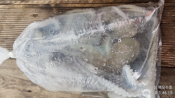 IMG20260829_134615.jpg
