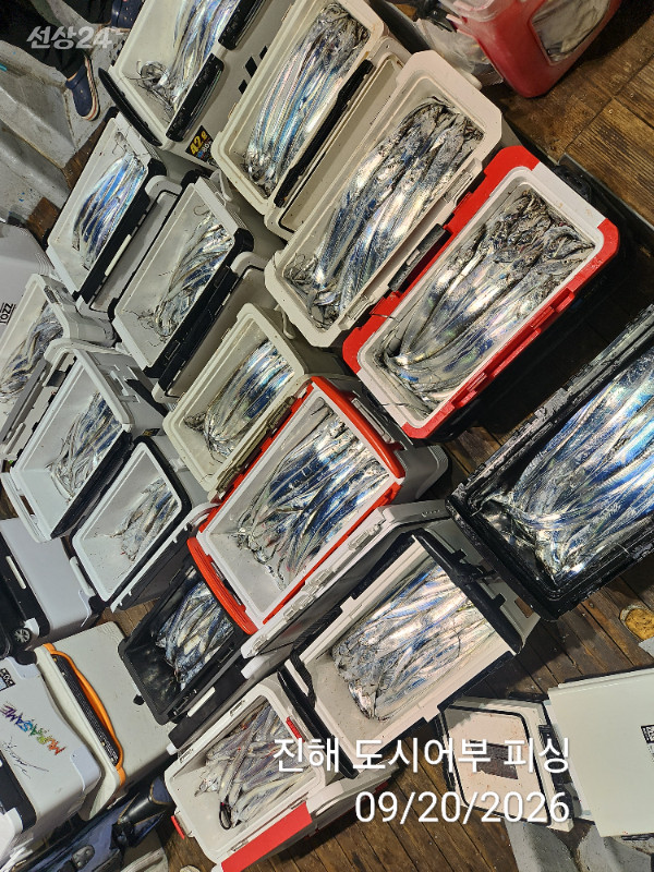 KakaoTalk_20260920_052035482_13.jpg