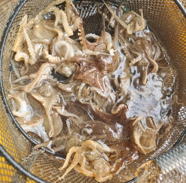 KakaoTalk_20260912_195257129.jpg