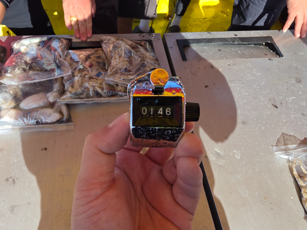 1000022293.jpg