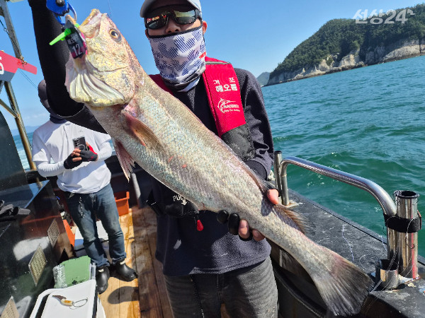 8111.jpg
