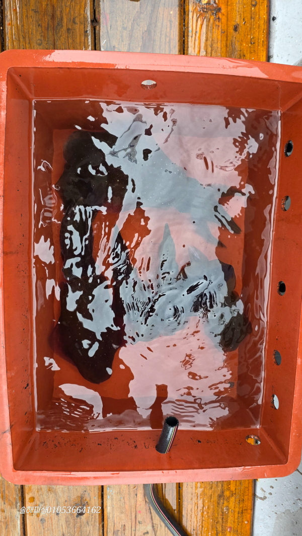20260912_125255.jpg