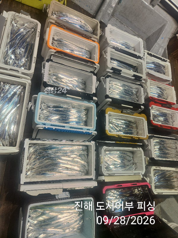 KakaoTalk_20260928_054654622_07.jpg