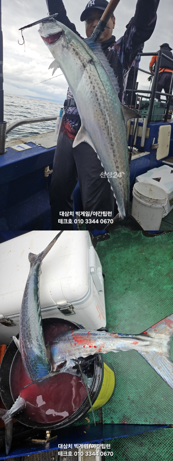 KakaoTalk_20260926_165112542_05-vert.jpg