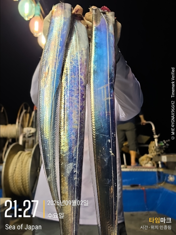 BandPhoto_2026_09_03_07_42_34_36.jpg