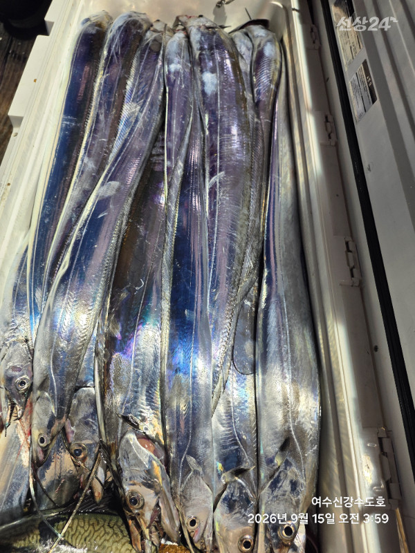 1000045943.jpg