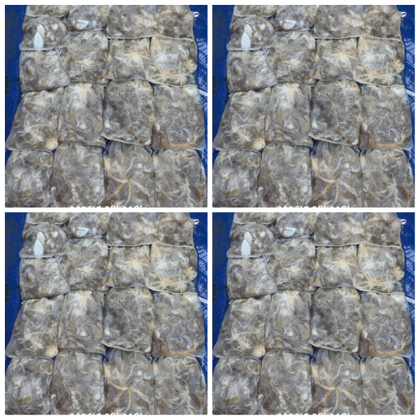 PhotoCollage_1789109166609.jpg