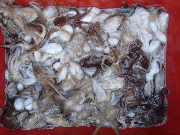 119.JPG