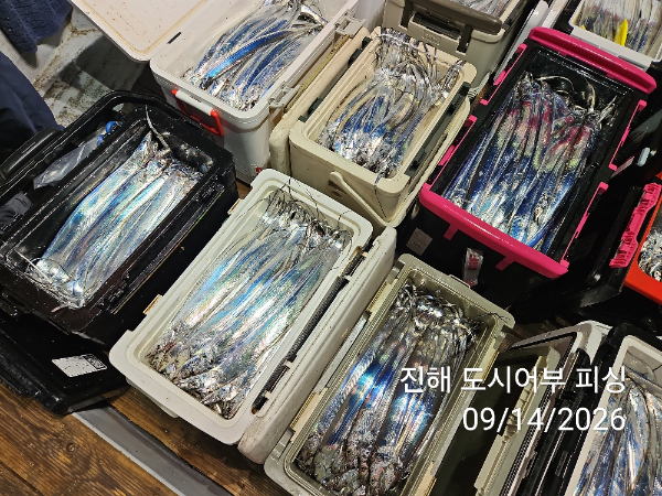 KakaoTalk_20260914_045414421_16.jpg