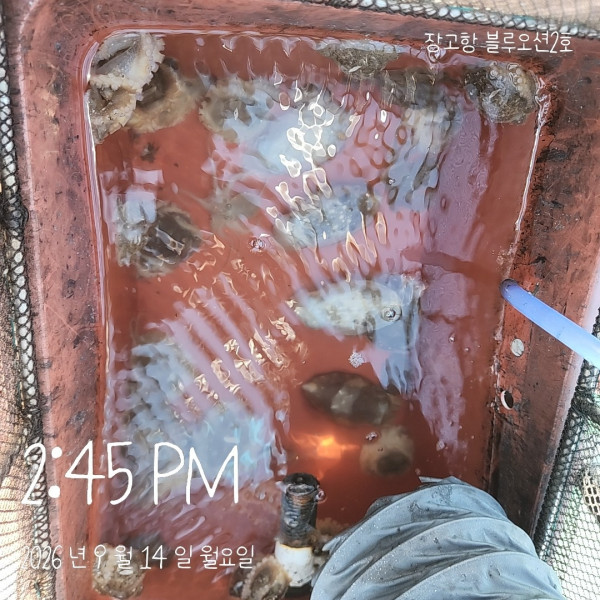 1000017522.jpg