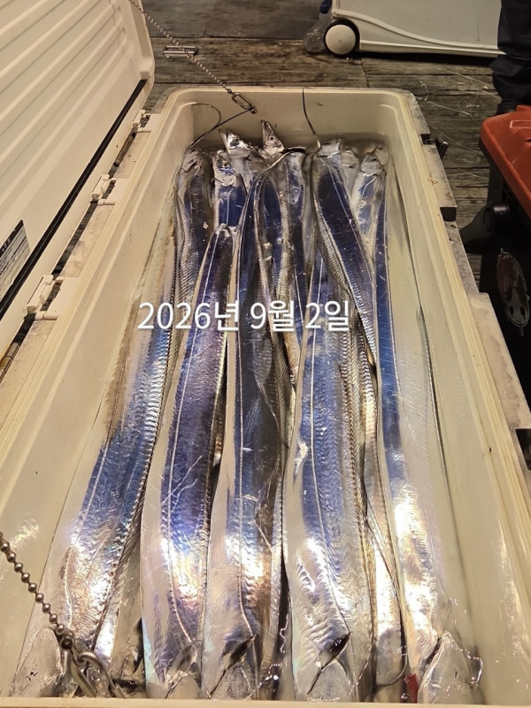 C1AB3058-0611-47DB-B2A2-E997C9EA0385.jpeg