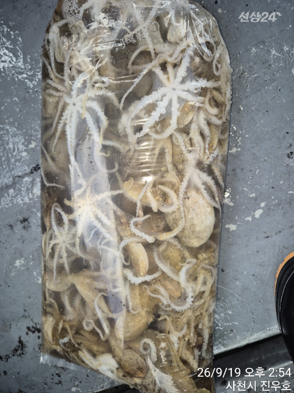 TimePhoto_20260919_145452.jpg