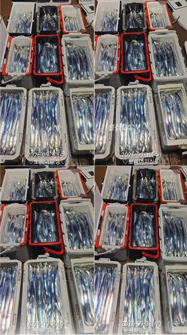 1000118561.jpg