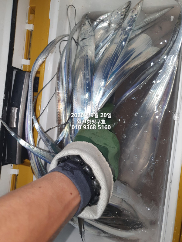 KakaoTalk_20260920_043734565_03.jpg