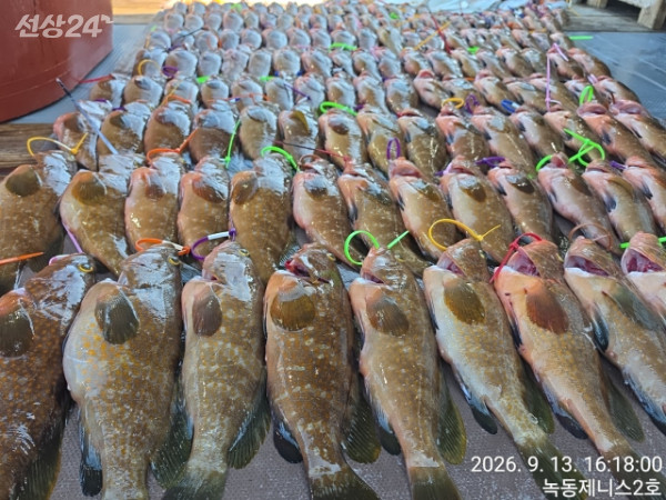 49183.jpg