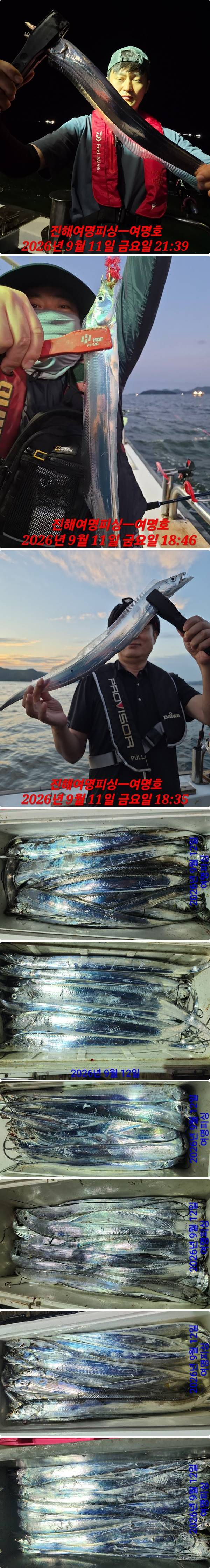 12일갈치하.jpg