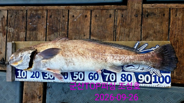 33895.jpg