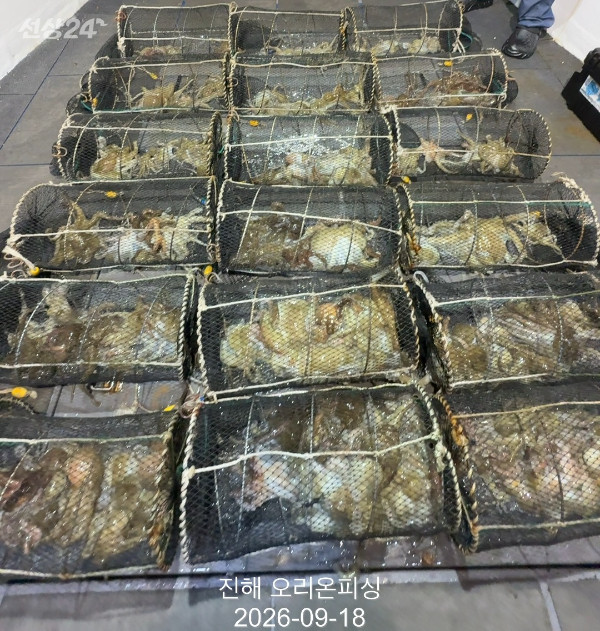 KakaoTalk_20260918_031538476.jpg