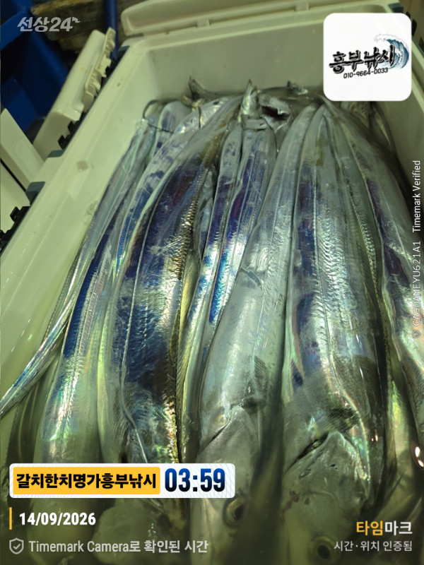 2026-09-14 03.59.57__(제목-갈치한치명가흥부낚시).jpg