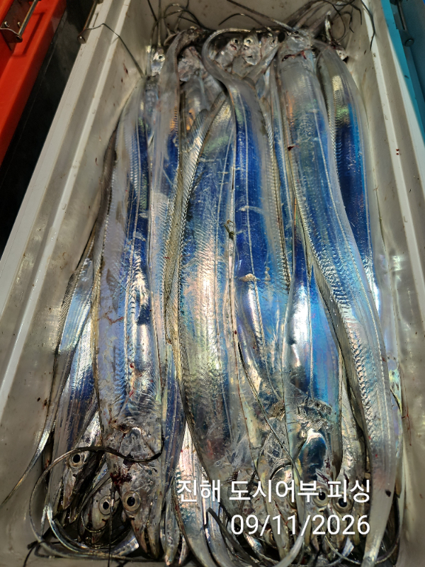 KakaoTalk_20260911_050759490_14.jpg