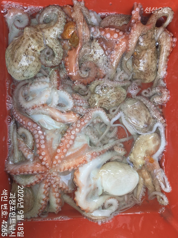 KakaoTalk_20260918_145253844_08.jpg