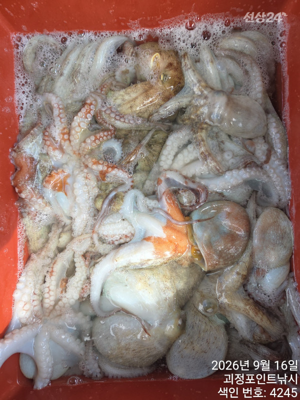 KakaoTalk_20260917_163007495_07.jpg