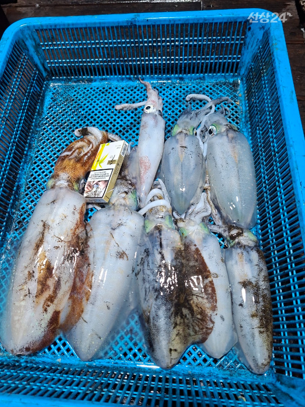 KakaoTalk_20260922_015113188_04.jpg