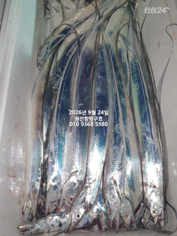 KakaoTalk_20260924_051010351_02.jpg