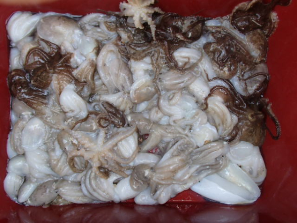 124.JPG