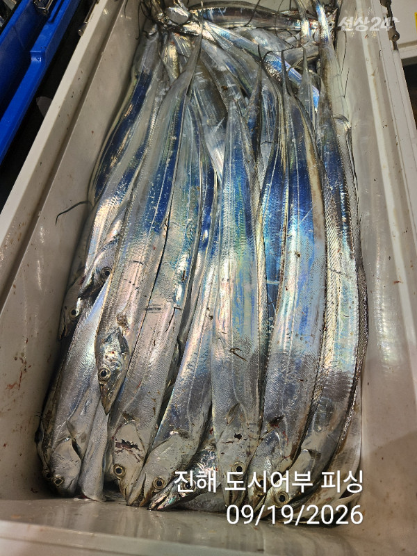 KakaoTalk_20260919_054500726_16.jpg