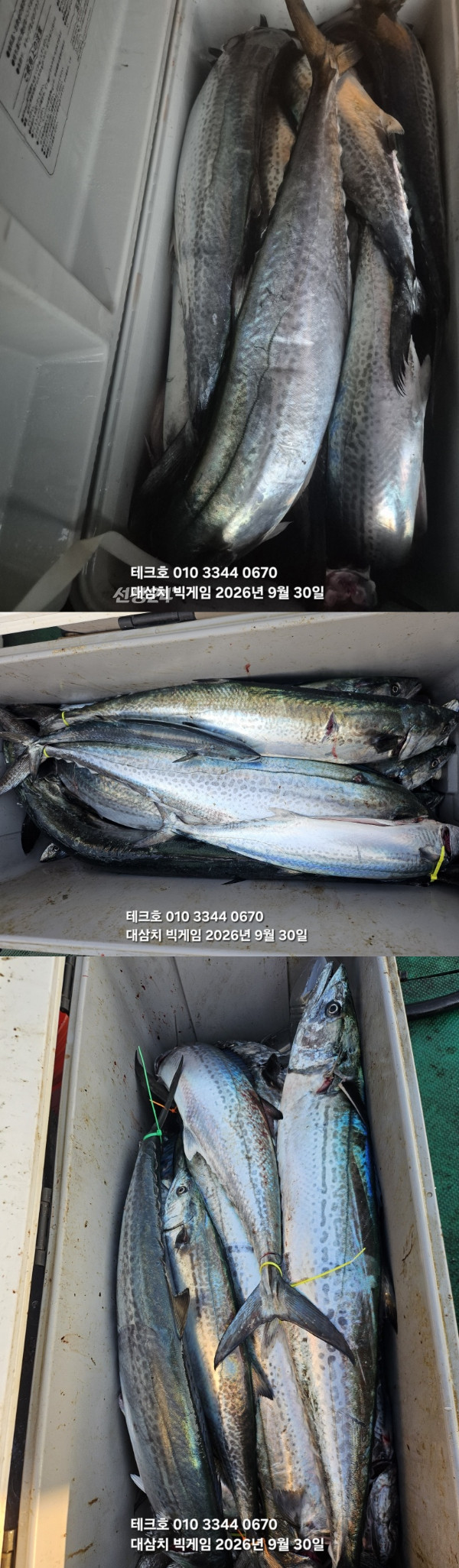 KakaoTalk_20260930_182358869_04-vert.jpg