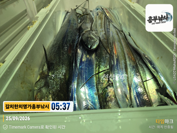 2026-09-25 05.37.01__(제목-갈치한치명가흥부낚시).jpg