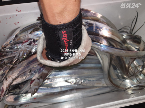 KakaoTalk_20260914_114003950_04.jpg
