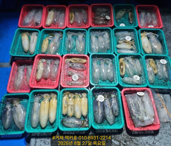 1000092168.jpg
