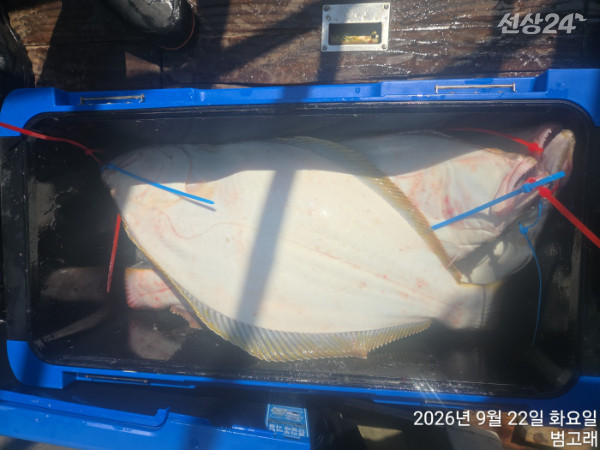 KakaoTalk_20260922_145615214.jpg