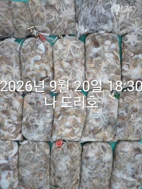 KakaoTalk_20260920_192144674.jpg