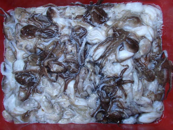 113.JPG