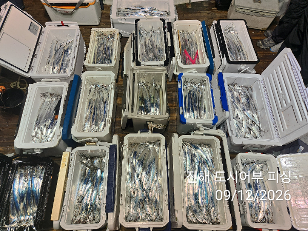 KakaoTalk_20260912_055008502_08.jpg