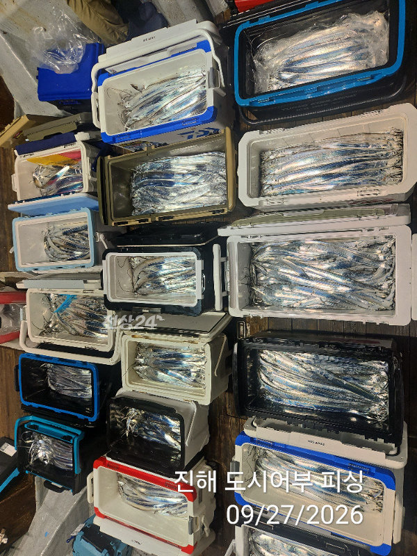 KakaoTalk_20260927_050422422_10.jpg