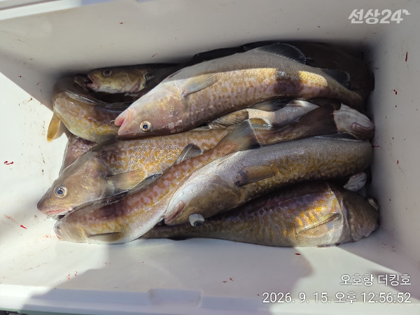 1000039276.jpg