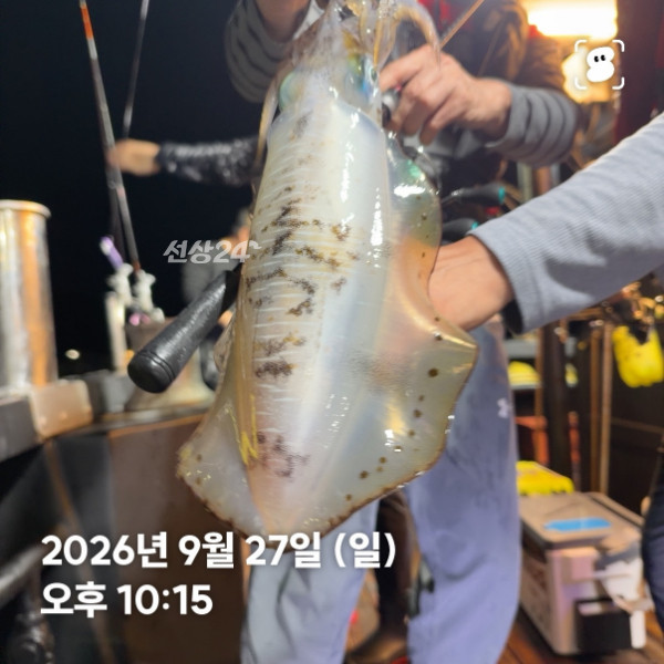 신신낚시 강구점 신신호_사진_20260928_6.jpg