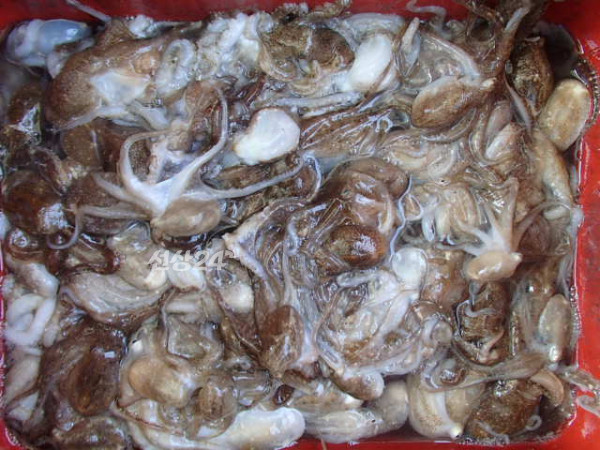 114.JPG