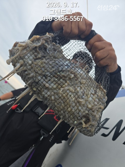 1000035340.jpg